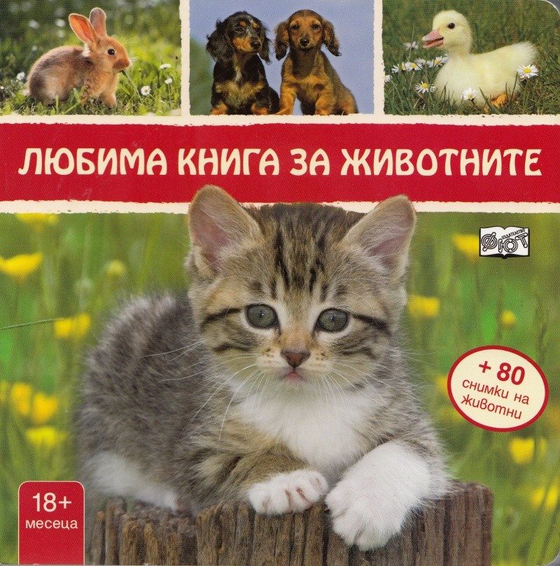 Любима книга за животните + 80 стикера: Коте