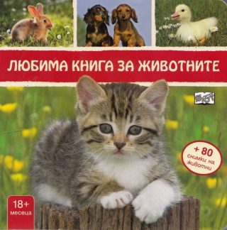 Любима книга за животните + 80 стикера: Коте