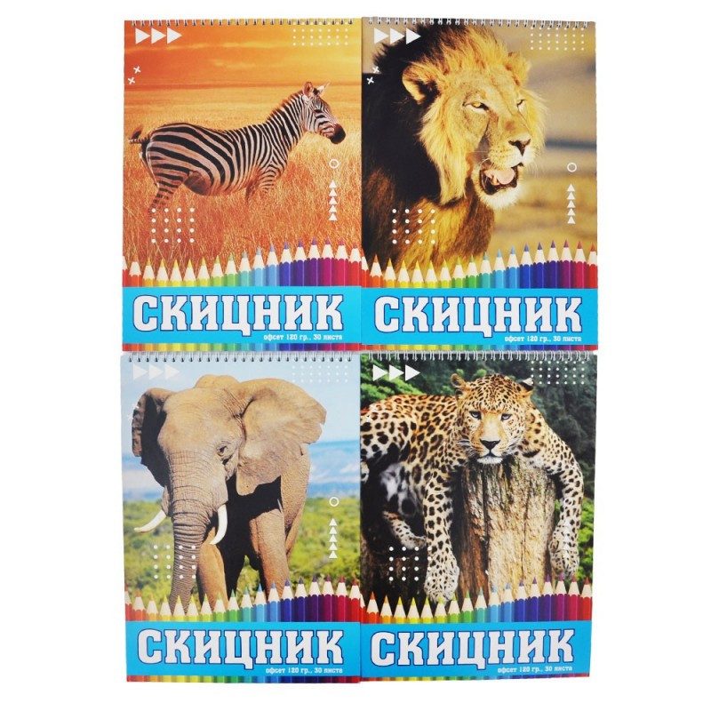 Скицник със спирала офсет 24/34 см., 30 листа, 120 гр.
