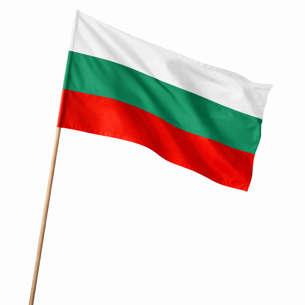 Знаме България 20/33 см. с дървена дръжка