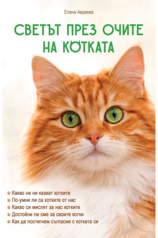 Светът през очите на котката
