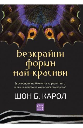 Безкрайни форми най-красиви