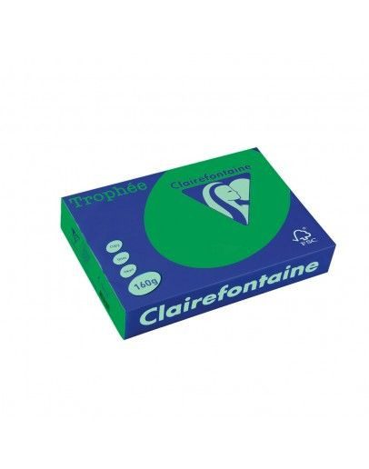 Картон CLAIRE 160гр А4 250Л INT.GREEN №1019