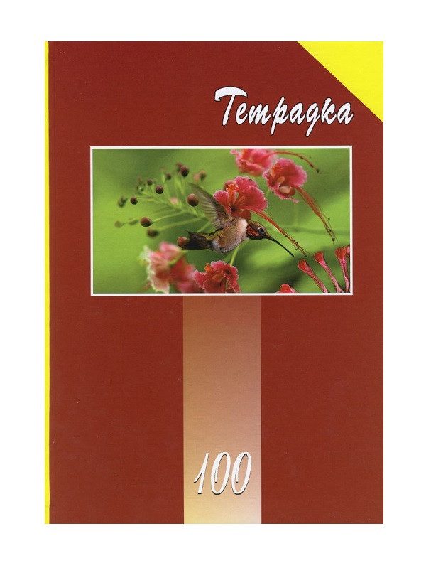 Тетрадка А4 100л. твърди корици УВ лак офсет - каре